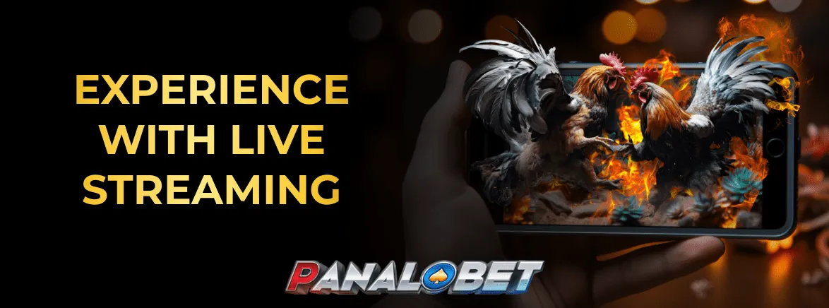 panalobet_cockfight