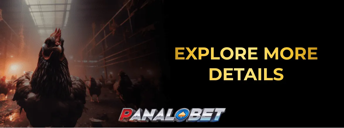 panalobet_cockfight